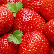 rozlapinja