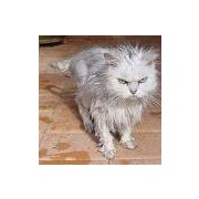 rebeka_19143