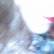 paradizes_abols