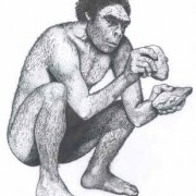 kangars