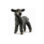 black_sheep