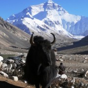 everest