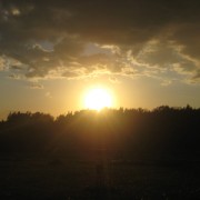 elis_