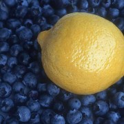 citronins2