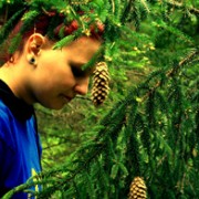 ieviigaa