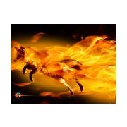 firefox