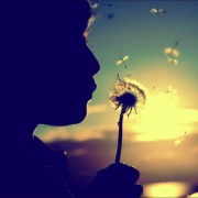 _misssunshine_