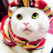pinkyy