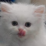 smukumins007