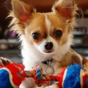 minkyy