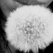 fluff