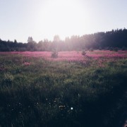 erase