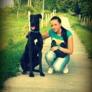 user66857