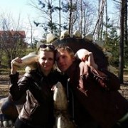 user86631