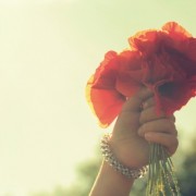 anna-abolina