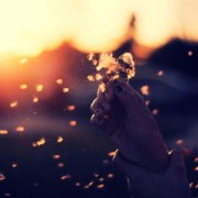 TeNavSuns