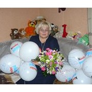user91261