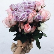 user92524