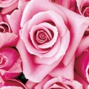 user92719