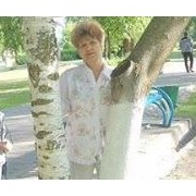user93125