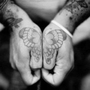 user93317