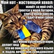 user93342