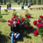 user95212