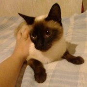 user98388